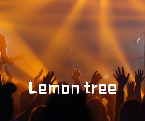 《Lemon tree吉他谱》(C调)