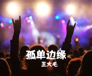 王大毛《孤单边缘吉他谱》(C调)