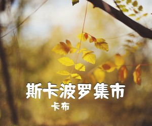 卡布《斯卡波罗集市吉他谱》(C调)
