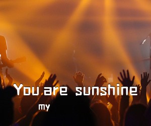 my《You are  sunshine吉他谱》
