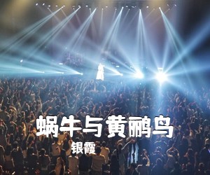 殷秀梅《我爱你塞北的雪简谱》