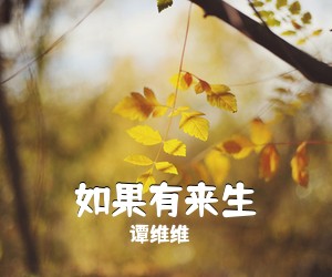 谭维维《如果有来生吉他谱》(G调)