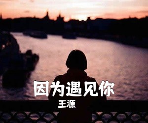 王源《因为遇见你简谱》