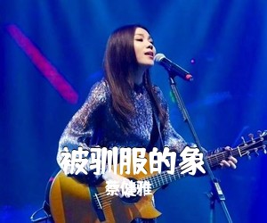 蔡健雅《被驯服的象吉他谱》(C调)