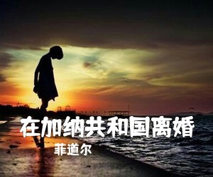 菲道尔《在加纳共和国离婚吉他谱》(C调)