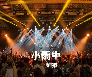 刺猬《小雨中吉他谱》(C调)