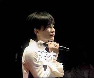 王菲《旋木吉他谱》(G调)