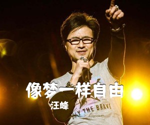 汪峰《像梦一样自由吉他谱》(D调)