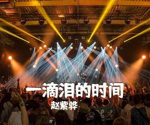 赵紫骅《一滴泪的时间吉他谱》(C调)