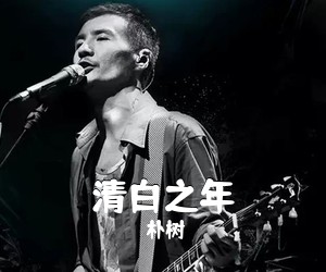 朴树《清白之年吉他谱》(C调)