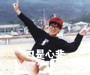 张雨生《口是心非吉他谱》(C调)