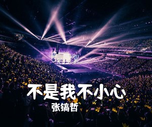 张镐哲《不是我不小心简谱》