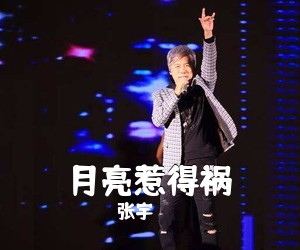 张宇《月亮惹得祸简谱》