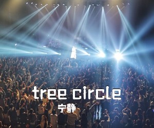 宁静《tree circle吉他谱》