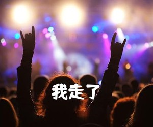 《我走了吉他谱》(G调)