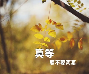 要不要买菜《莫等吉他谱》(C调)