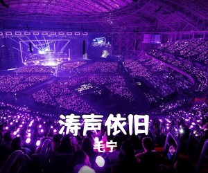 毛宁《涛声依旧吉他谱》(G调)