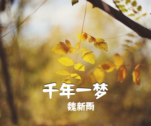 魏新雨《千年一梦简谱》