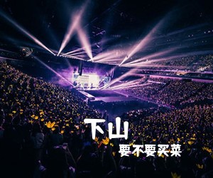 要不要买菜《下山吉他谱》(C调)