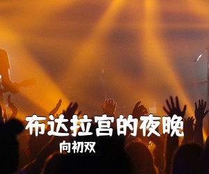 向初双《布达拉宫的夜晚简谱》