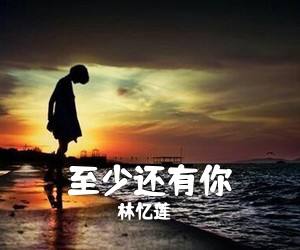 林忆莲《至少还有你吉他谱》(C调)