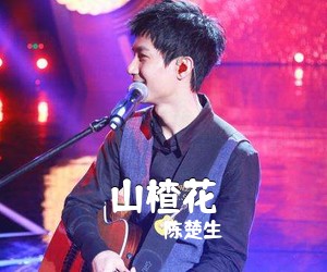 陈楚生《山楂花吉他谱》(G调)