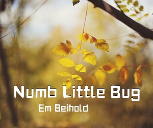 Em Beihold《Numb Little Bug吉他谱》(G调)