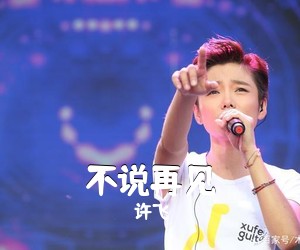 许飞《不说再见吉他谱》(G调)