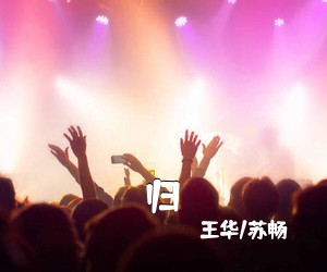 王华/苏畅《归简谱》