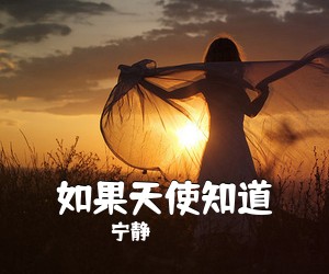 宁静《如果天使知道吉他谱》