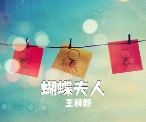 王赫野《蝴蝶夫人吉他谱》(G调)