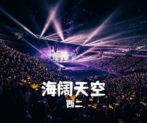 西二《海阔天空吉他谱》(C调)