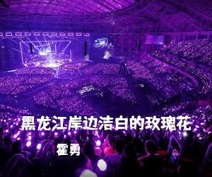 霍勇《黑龙江岸边洁白的玫瑰花简谱》