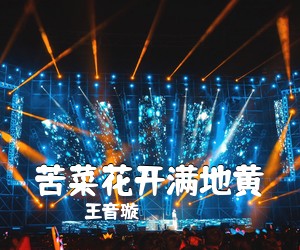 王音璇《苦菜花开满地黄简谱》