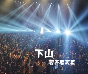 要不要买菜《下山吉他谱》(G调)