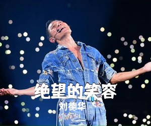 刘德华《绝望的笑容吉他谱》(G调)