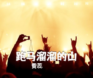 贾蕊《跑马溜溜的山简谱》