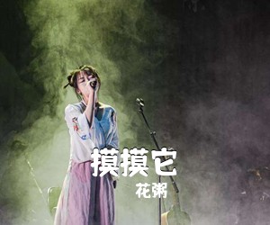 花粥《摸摸它吉他谱》(C调)