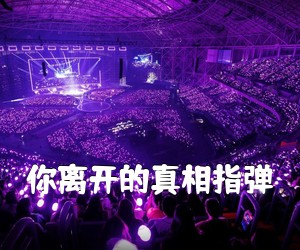 《你离开的真相指弹吉他谱》