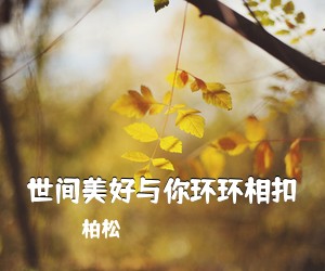 柏松《世间美好与你环环相扣吉他谱》(C调)