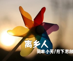 简单小芳/月下思故人《离乡人简谱》