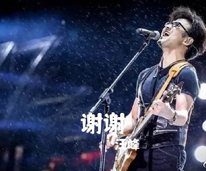 汪峰《谢谢吉他谱》(C调)