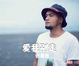 张震岳《爱我别走吉他谱》(C调)