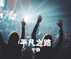 宁静《平凡之路吉他谱》(G调)