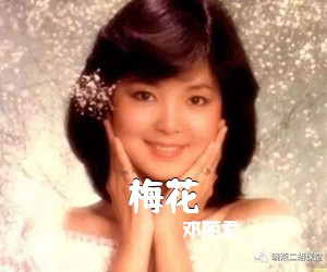 邓丽君《梅花简谱》
