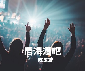 陈玉建《后海酒吧吉他谱》(C调)