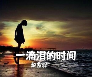 赵紫骅《一滴泪的时间吉他谱》(C调)