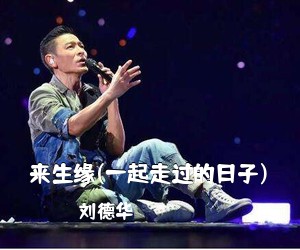 刘德华《来生缘(一起走过的日子)吉他谱》