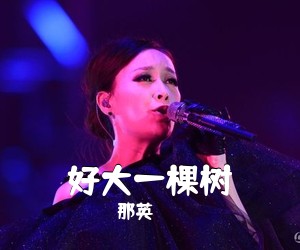那英《好大一棵树简谱》