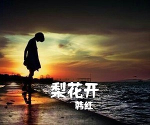 韩红《梨花开简谱》